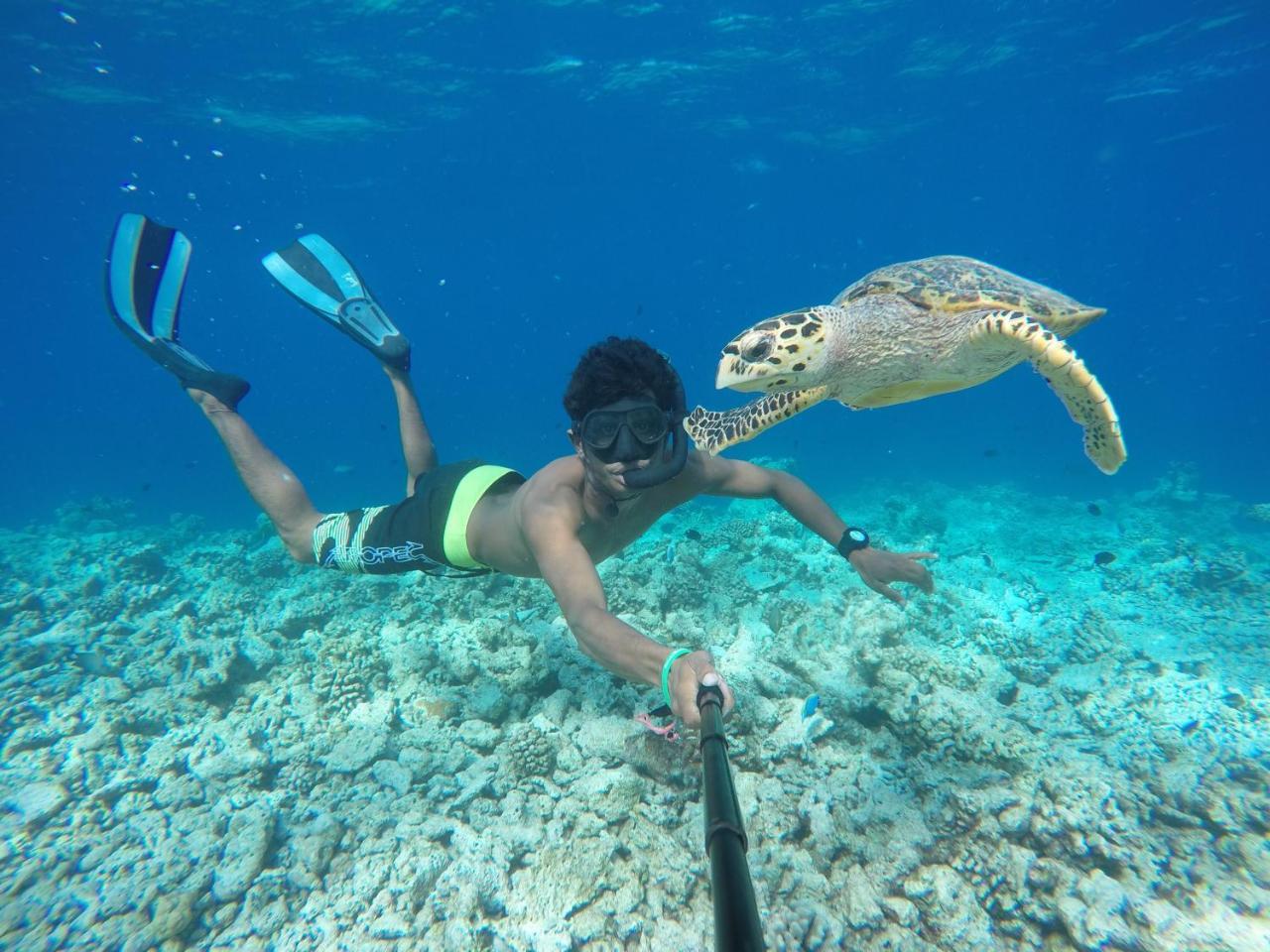 Koimala Beach Ukulhas Kültér fotó