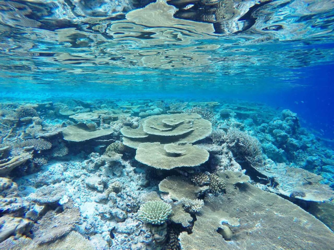 Koimala Beach Ukulhas Kültér fotó