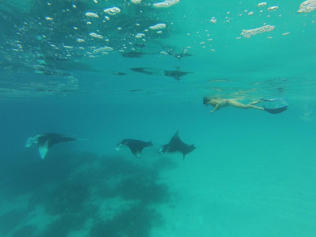 Koimala Beach Ukulhas Kültér fotó